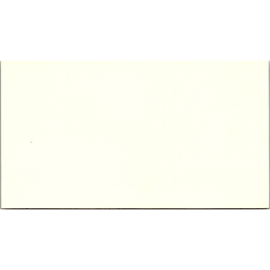 Ann McCoy CSC Credit Services Inc Houston Vintage Business Card SD9-B7