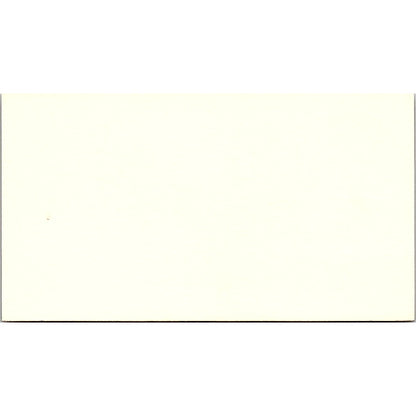 Ann McCoy CSC Credit Services Inc Houston Vintage Business Card SD9-B7