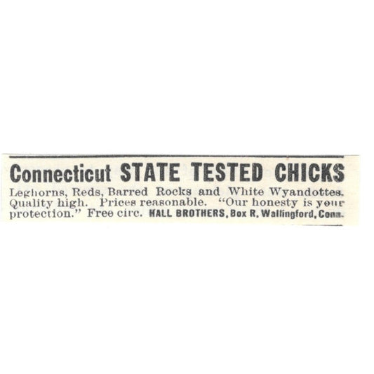Hall Brothers State Tested Chicks Wallingford CT 1924 Ad AG3-S8