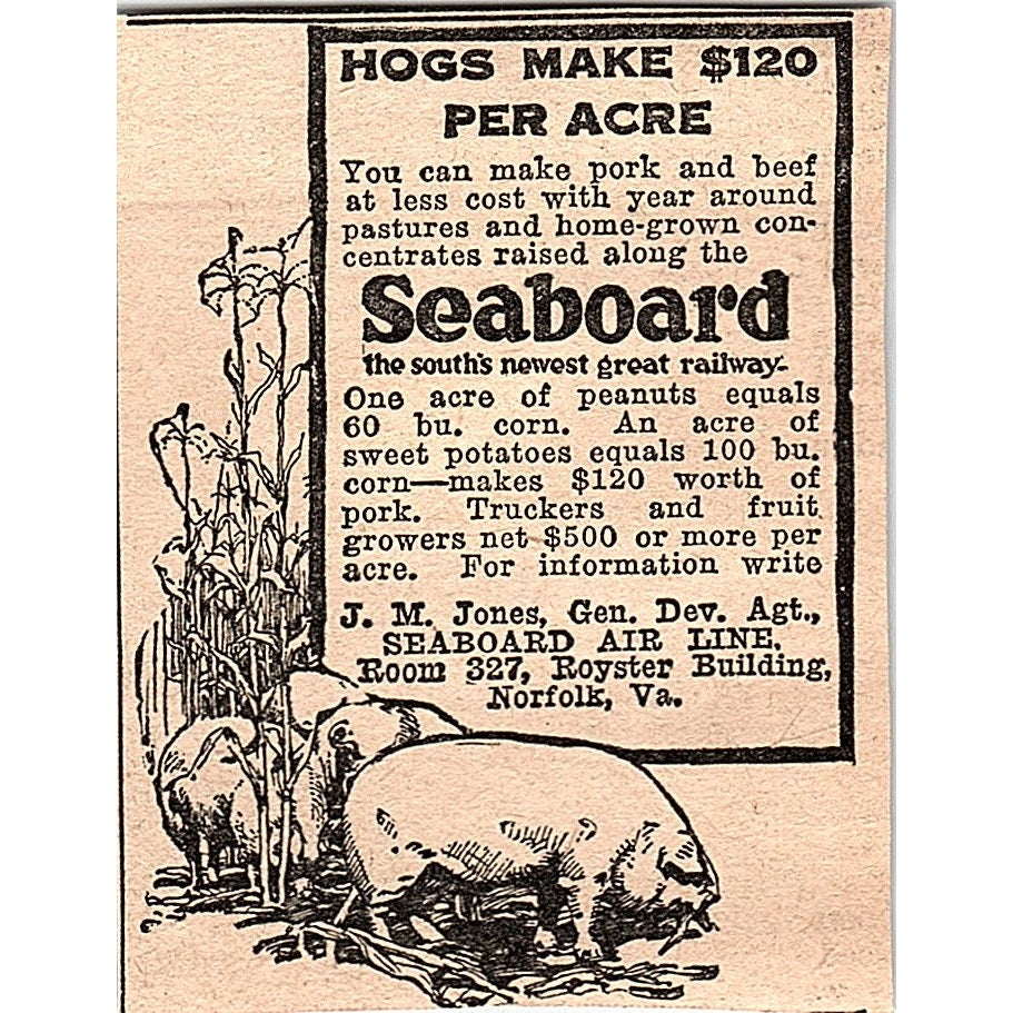 Seaboard Air Line J.M. Jones Norfolk VA 1920 Ad AG2-M2