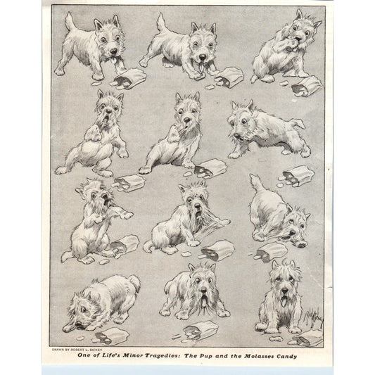 Scotty Dog Pup and Molasses Candy Robert L. Dickey 1928 Original Cartoon AE5-SSE