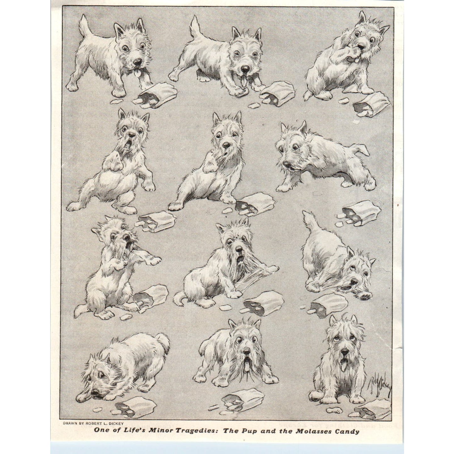 Scotty Dog Pup and Molasses Candy Robert L. Dickey 1928 Original Cartoon AE5-SSE