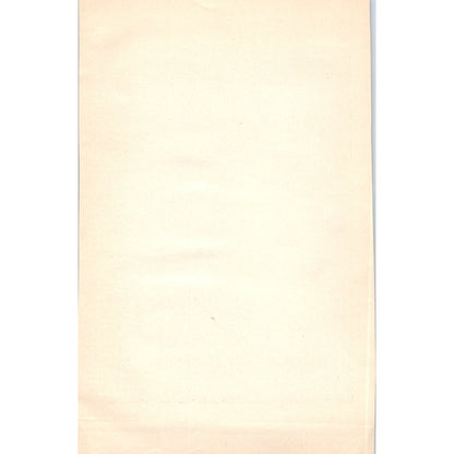 Marion Davies & Harrison Ford 1923 Little Old New York Photo Still AE5-PP