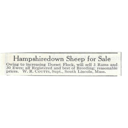 Hampshire Down Sheep W.R. Coutts South Lincoln MA 1913 Magazine Advert AE7-N8