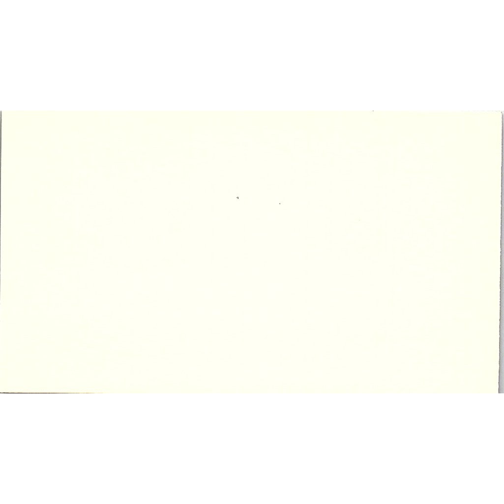 Fashions in Leather Anne Chase Laguna Beach CA Vintage Business Card SE5-B4