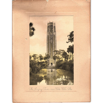 Singing Tower Lake Wales Florida Hand Colored Sunny Scene Pictures c1930 AF8-2