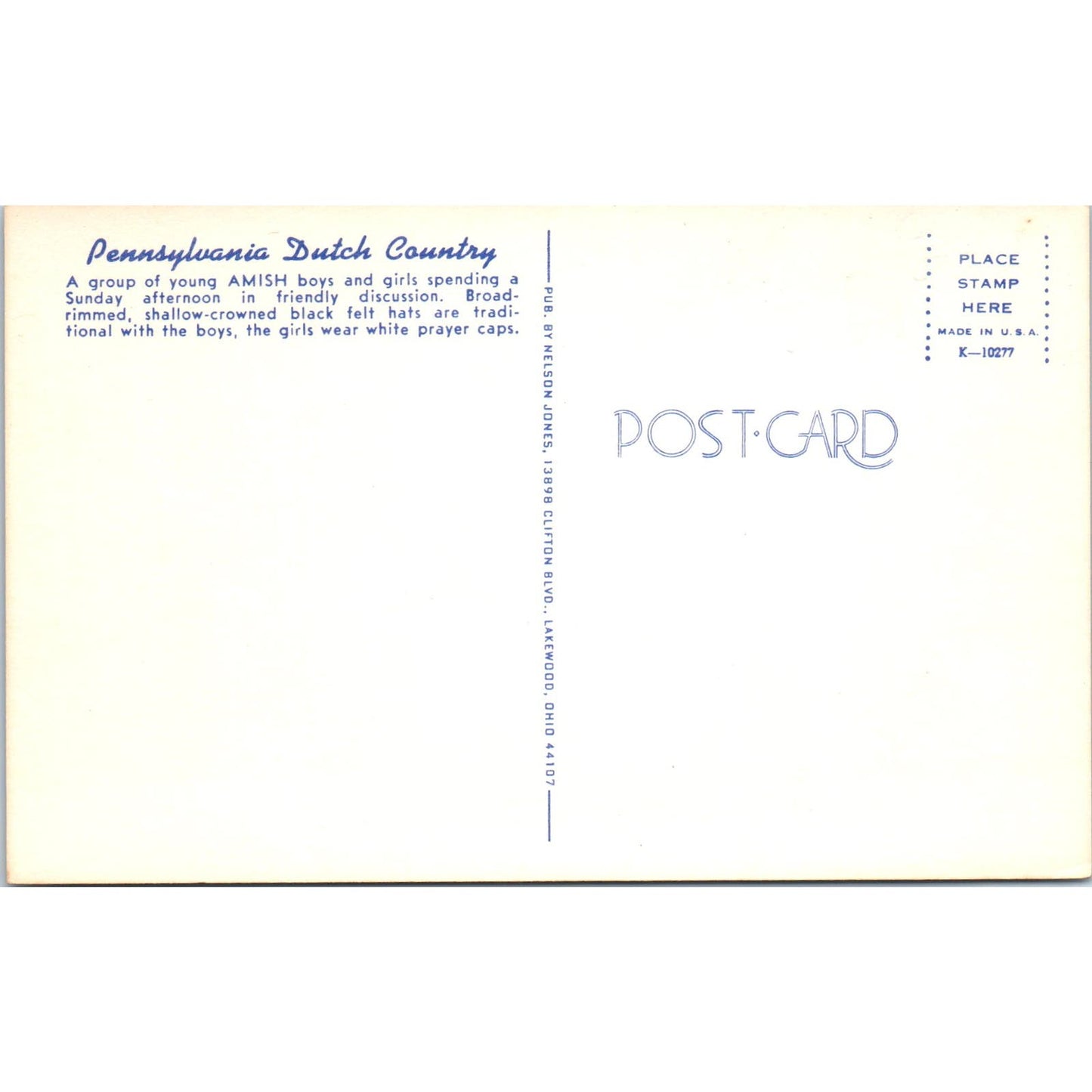 Amish Boys and Girls Conversing Pennsylvania Dutch Country Postcard PD8