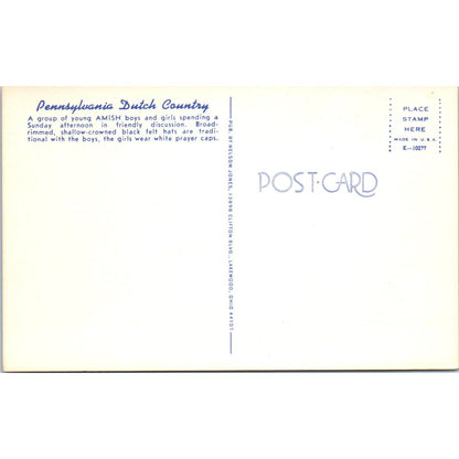 Amish Boys and Girls Conversing Pennsylvania Dutch Country Postcard PD8