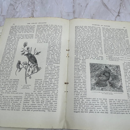 Glimpses of Nature A Woodland Tragedy Grant Allen 1897 Victorian Article AE9