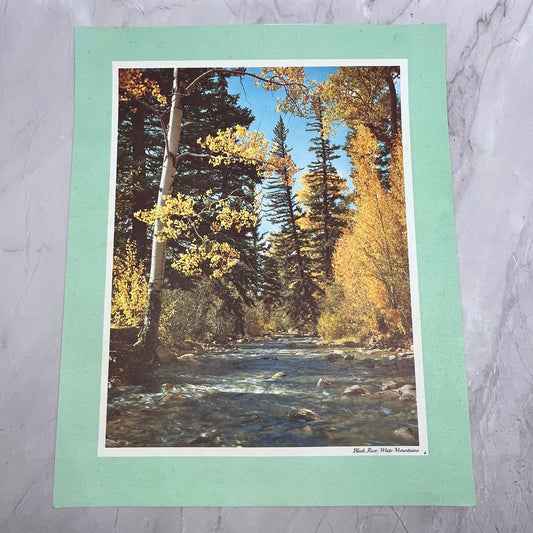 Black River, White Mountains Vintage 11x14" Art Print V21