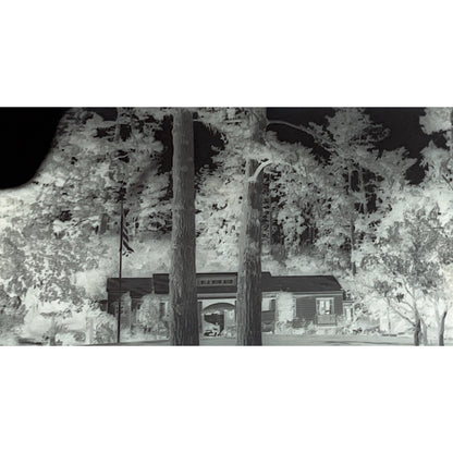 c1930 Lot of 26 Gum Del Monte California Negatives Nature Architecture TH2-MI1