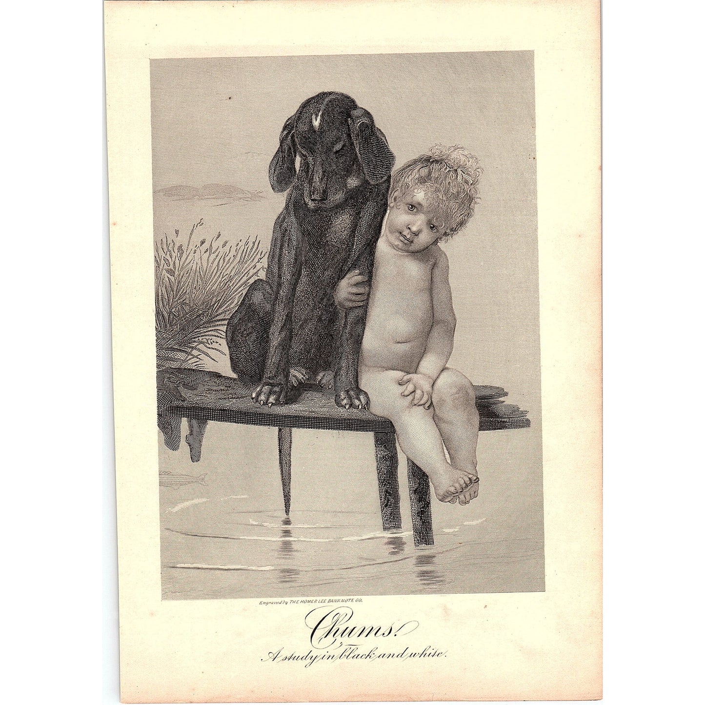 Chums - A Study in Black & White Baby and Dog on a Dock 1884 Engraving TA5-CJ-1