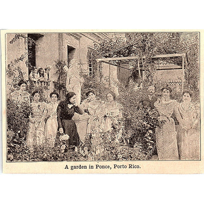 A Garden in Ponce Puerto Rico 3x4" 1901 Engraving AF6-M11