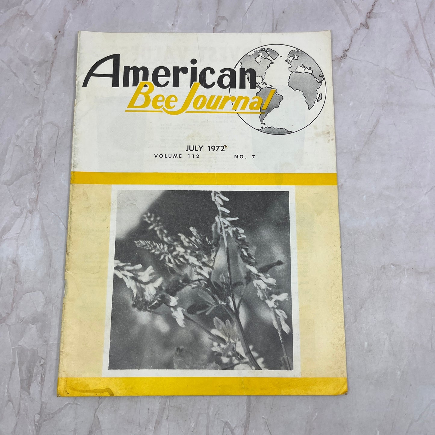 1972 July - American Bee Journal - Bees Beekeeping Honey M32