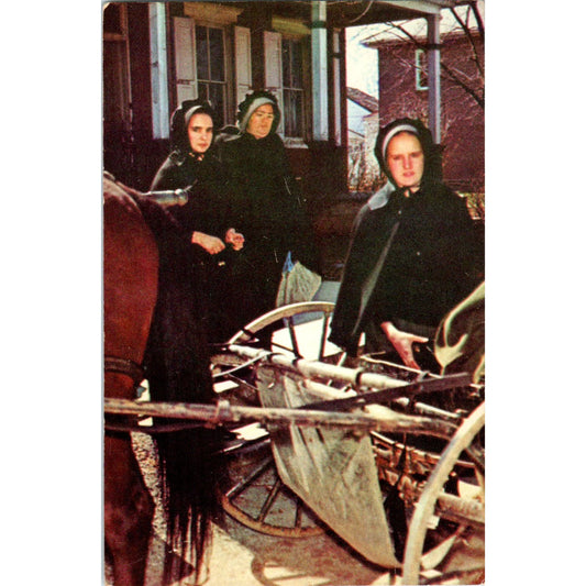 Amish Women Returning From Shopping Lancaster PA Vintage Postcard PD4