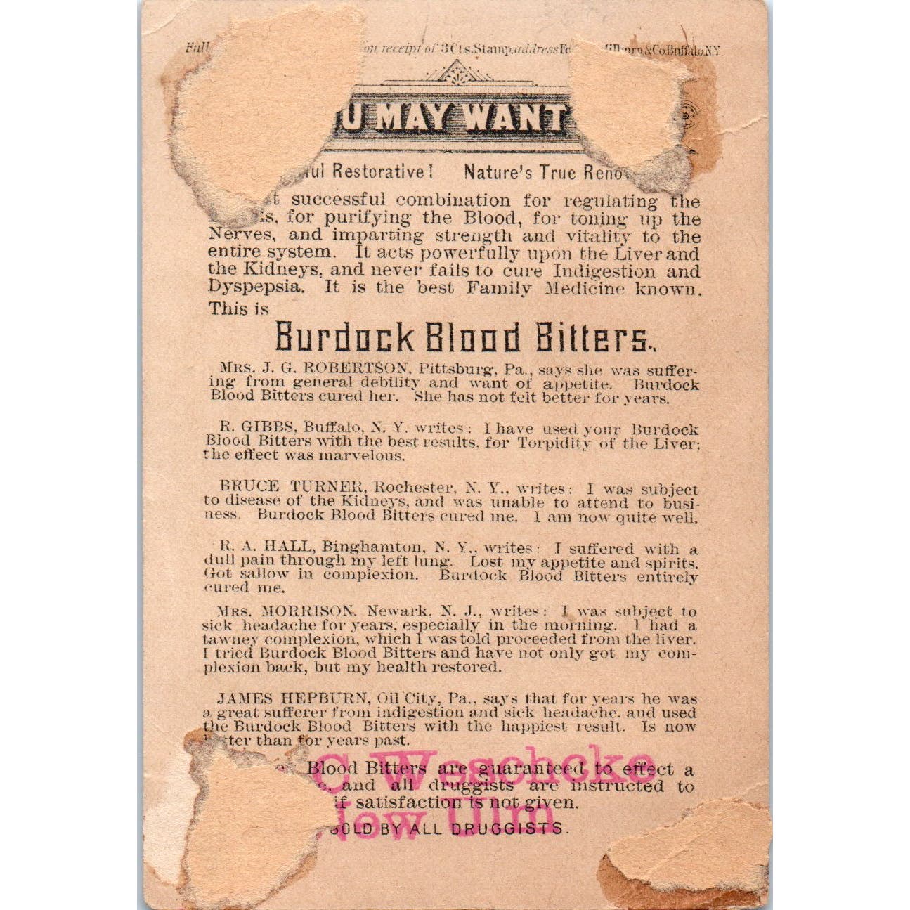 Burdock Blood Bitter Quackery Weschcke New Ulm MN c1880 Victorian Trade Card AE2