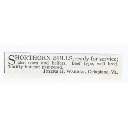 Joseph H. Warren Shorthorn Bulls Delaplane VA 1913 Magazine Advertisement AE7-N8