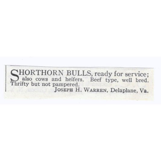 Joseph H. Warren Shorthorn Bulls Delaplane VA 1913 Magazine Advertisement AE7-N8