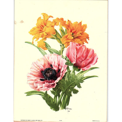 Poppy Lily Flower E A Séguy Wall Art Floral Lithograph Art Print 6x8 V4