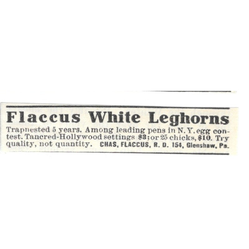 Chas. Flaccus White Leghorns Glenshaw PA 1924 Ad AG3-S9