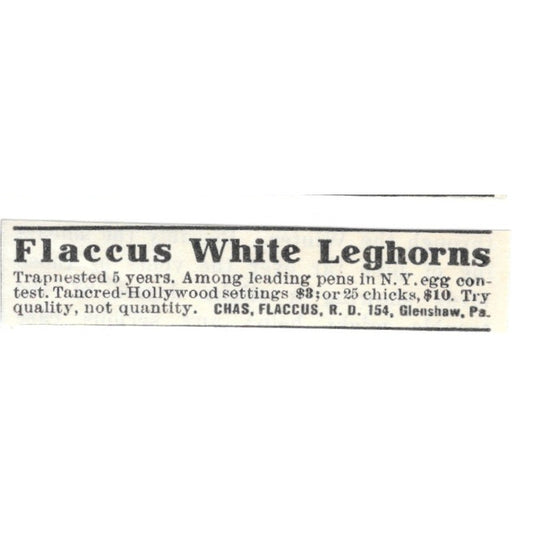 Chas. Flaccus White Leghorns Glenshaw PA 1924 Ad AG3-S9