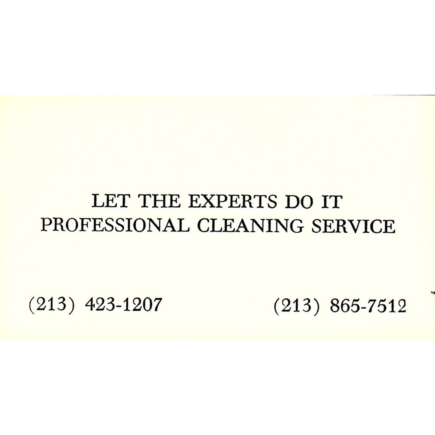 Let the Expert Do It Professional Cleaning Service Vintage Business Card SF3-B9