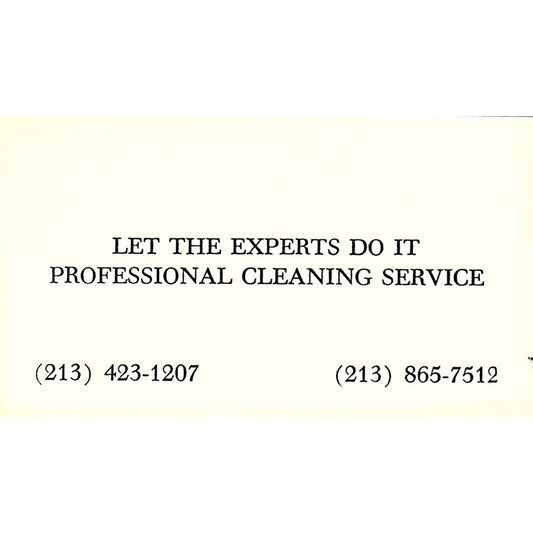Let the Expert Do It Professional Cleaning Service Vintage Business Card SF3-B9