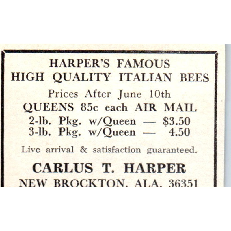 Carlus T. Harper Italian Bees New Brockton AL 1964 Magazine Ad AK5-S36