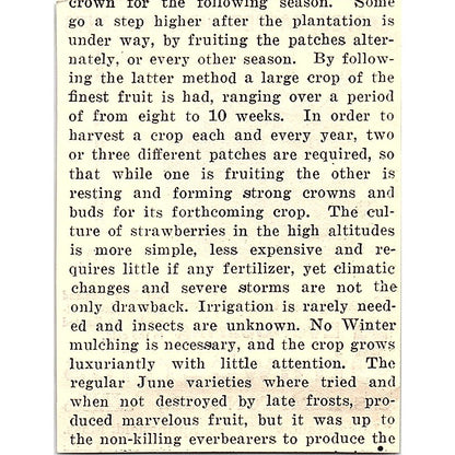 C.S. Kempton & Co Strawberries Springfield MA 1924 Ad AG3-S16