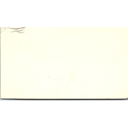 Lee Thi-Hoc-Ly Mar Caribe Fish Market Houston Vintage Business Card SD9-B6