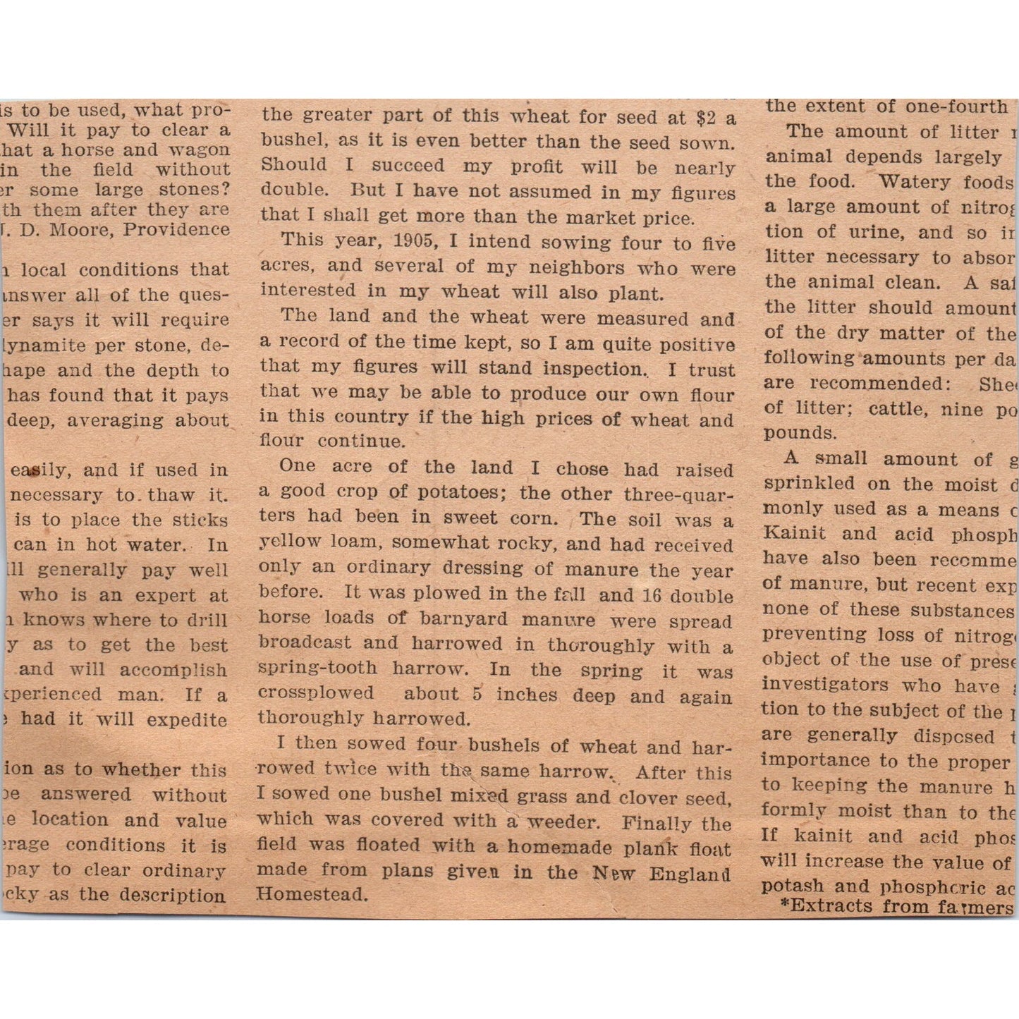 Baby Porkers Chester White Pigs Bred in MA 1905 Magazine Ad AF1-NEH