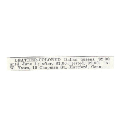 A.W. Yates Leather Color Italian Queens Hartford CT 1926 Ad AG3-S20