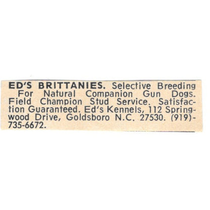 Ed's Brittanies Ed's Kennels Brittany Spaniels Goldsboro NC 1977 Ad AF6-S6