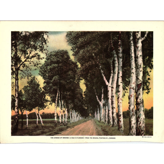Avenue of Birches a Road in Flanders L. Sorensen Vintage Art Print 8x10 V19