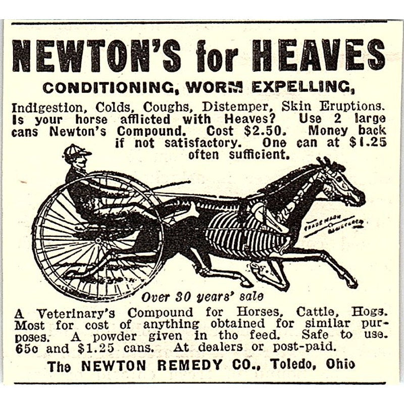 The Newton Remedy Co Horse Care Toledo Ohio 1924 Ad AG3-S18