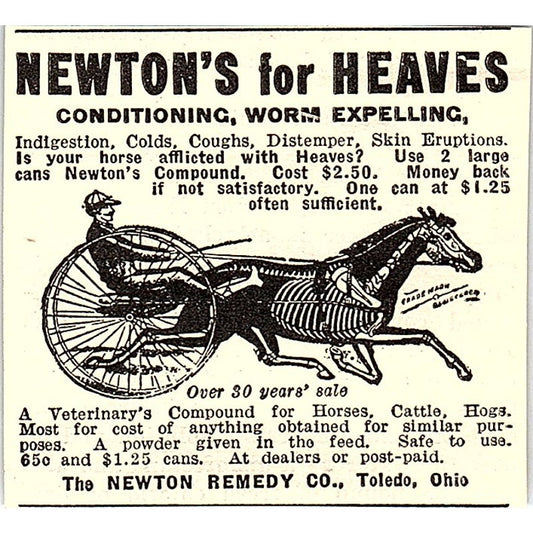 The Newton Remedy Co Horse Care Toledo Ohio 1924 Ad AG3-S18