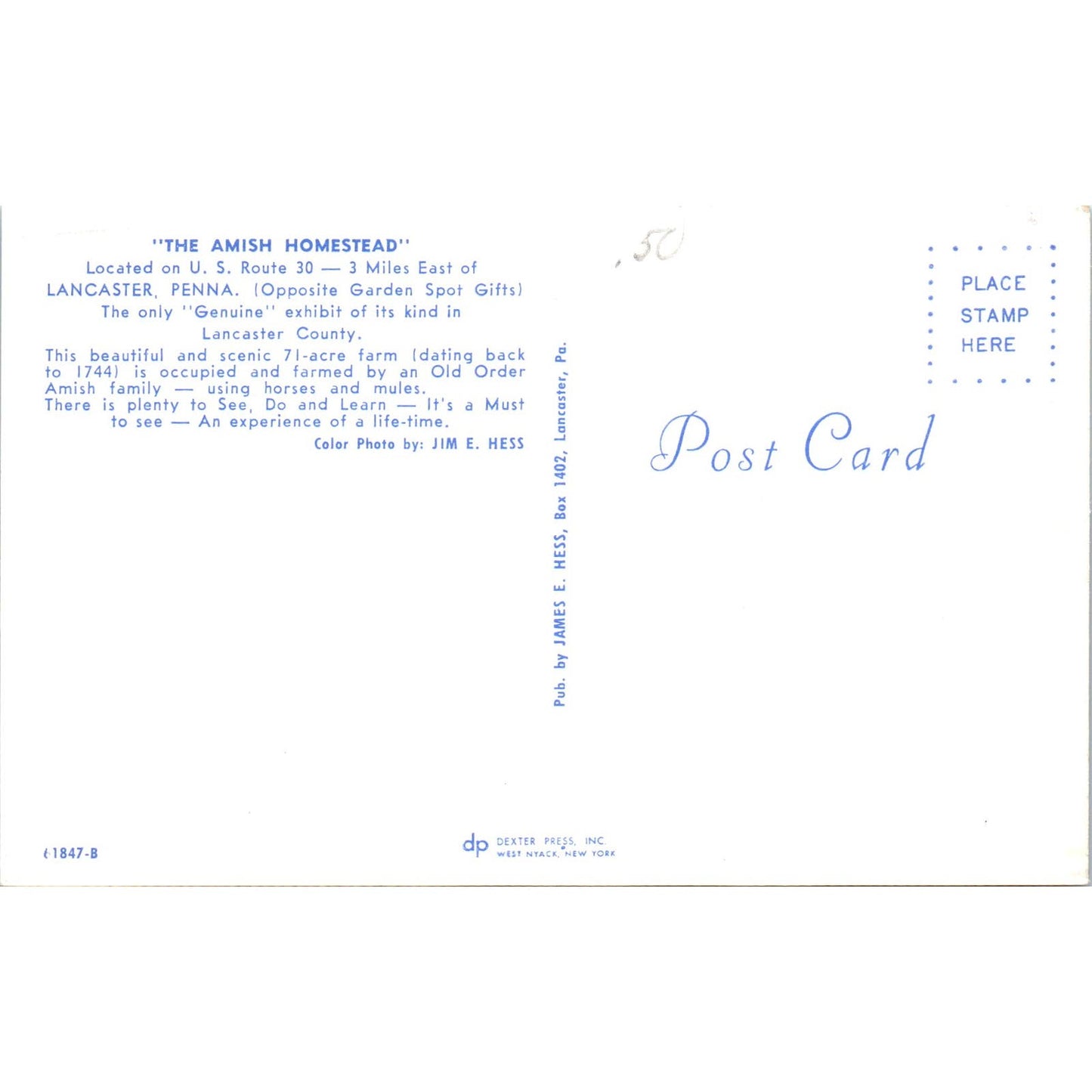 Lancaster, The Amish Homestead Pennsylvania Dutch Country Postcard PD7