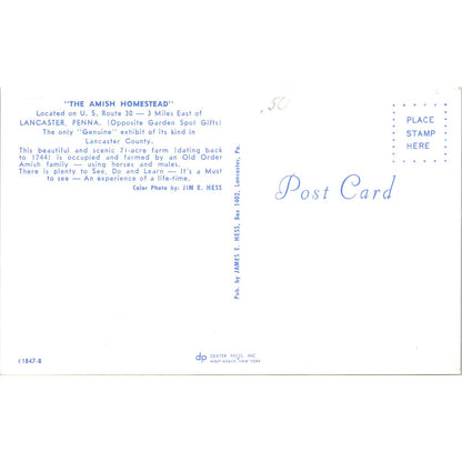 Lancaster, The Amish Homestead Pennsylvania Dutch Country Postcard PD7