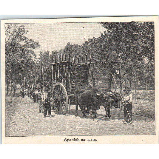 Spanish Ox Carts 1901 Engraving AF2-A6