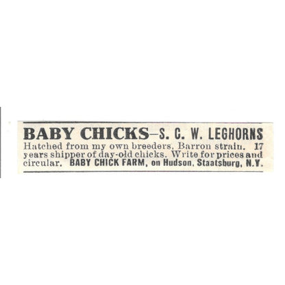 Baby Chick Farm on Hudson Staatsburg NY 1924 Ad AG3-S6