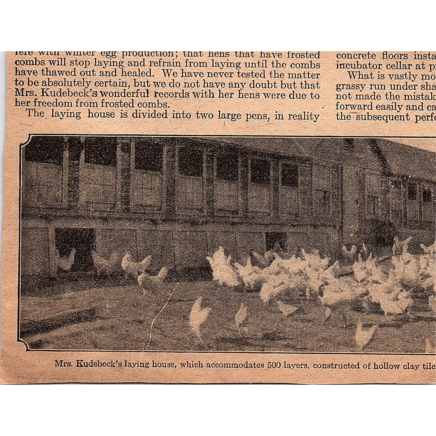 Butterfly Cream Separator - Albaugh-Dover Company Chicago IL 1920 Ad AG2-6