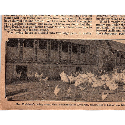 Butterfly Cream Separator - Albaugh-Dover Company Chicago IL 1920 Ad AG2-6