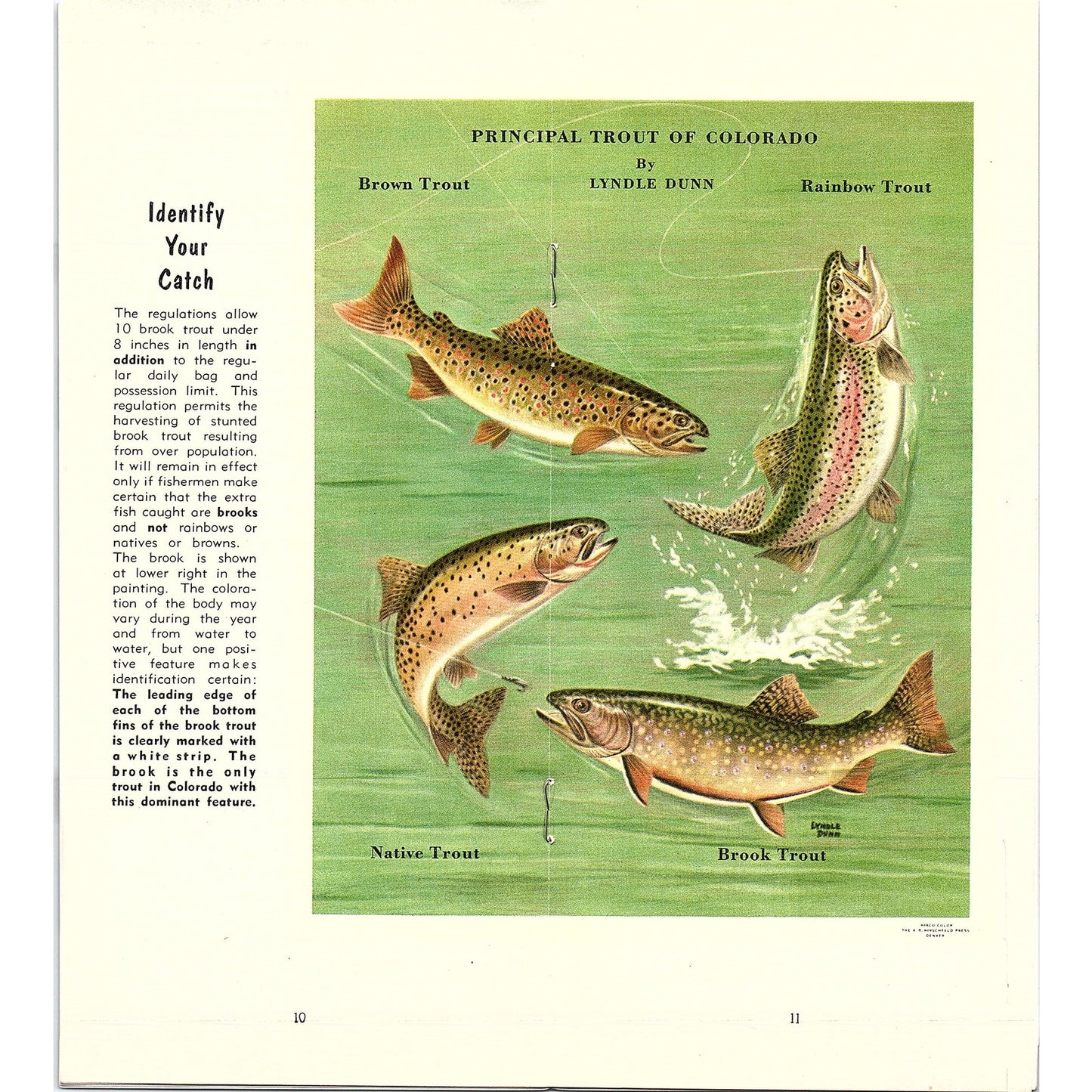 1956 Montrose Colorado Fishing Regulations Guide Booklet AF9-2