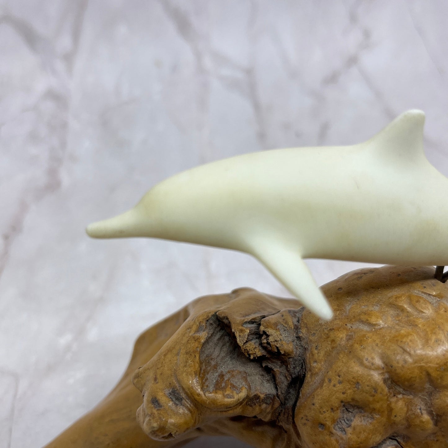 Vintage John Perry Studio Dolphin Burl Wood Art Sculpture Ocean 5x7" TF4