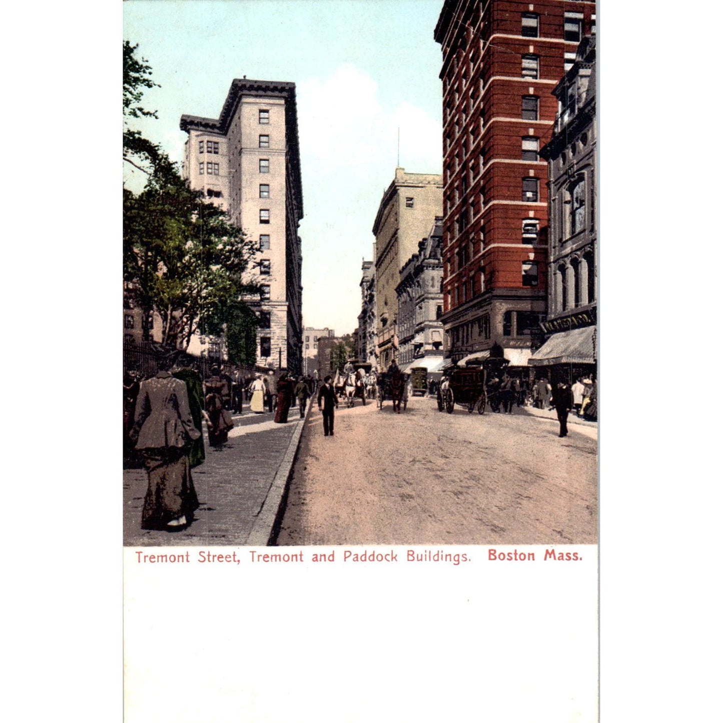 c1905 Tremont Street Tremont & Paddock Buildings Boston MA Original Postcard PC9