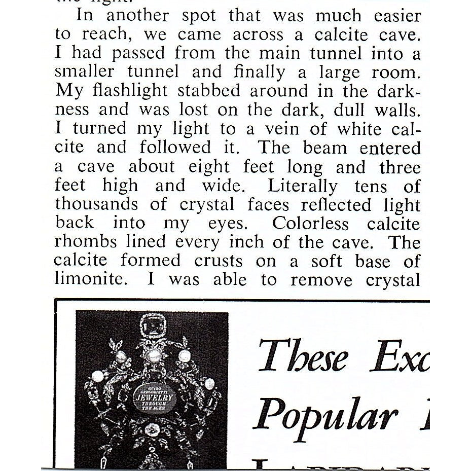 Earthen Arts Gallery Trilobites Waterford Michigan 1972 Ad AF8-M1