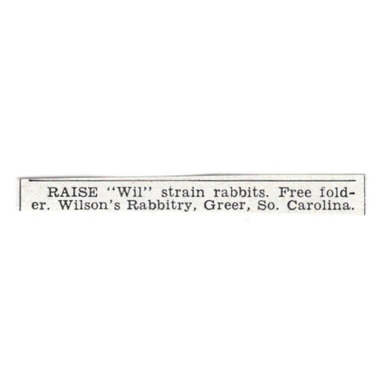 Raise "Wil" Strain Rabbits - Wilson's Rabbitry, Greer SC 1955 Ad AG1-S5