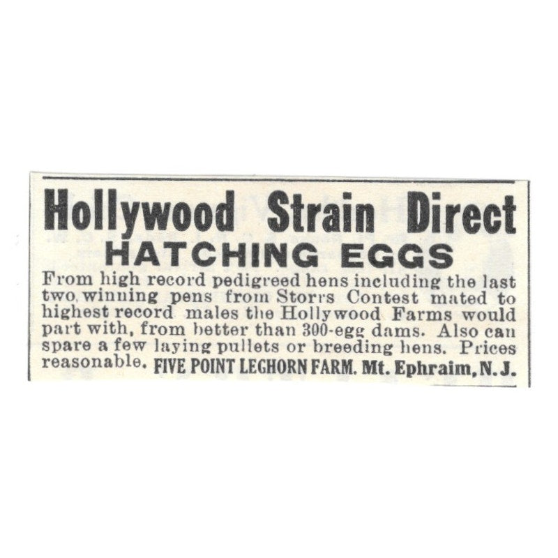 Five Point Leghorn Farm Hollywood Strain Eggs Mt. Ephraim NJ 1924 Ad AG3-S5