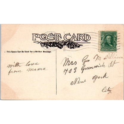 Pointer Bird Dog Greetings from Winchester MA c1910 Postcard PD2