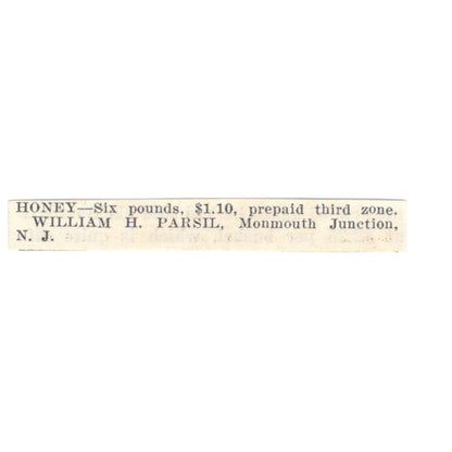 William H. Parsil Honey Monmouth Junction NJ 1924 Ad AG3-S5